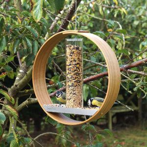 Discover the Joy of Birdwatching with Our Simple Hanging Bird Feeder