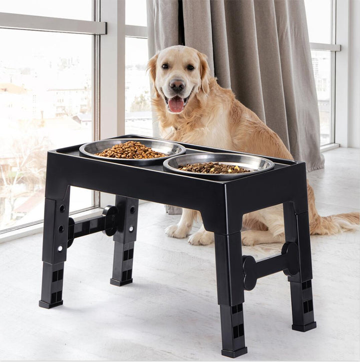 Elevate Your Pet's Dining Experience
