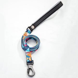 The Ultimate Pet Supplies Durable Leash for Your Furry Friends