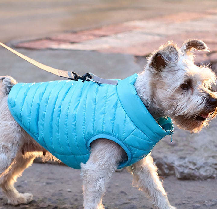 Pet Autumn Winter Nylon Zipper Outdoor Jacket Coat
