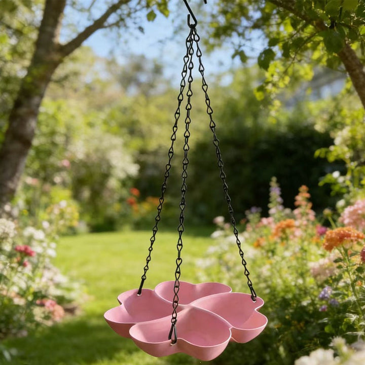 Discover the Joy of Birdwatching with Our Hanging Bird Feeder